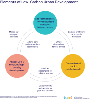 Elements of Low-Carbon Urban Development