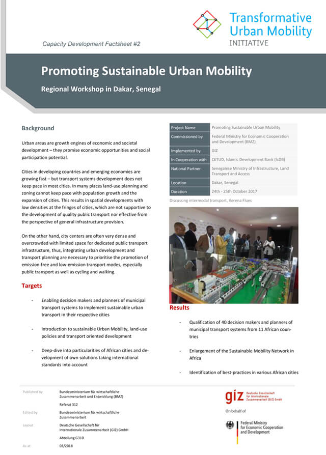Promoting Sustainable Urban Mobility – TUMI workshop