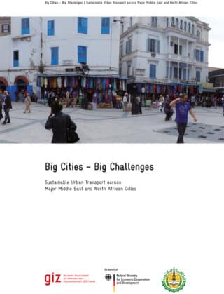 Big Cities, Big Challenges: Sustainable Urban Transport across Major Middle East and North African Cities