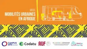 Urban Mobility in Africa