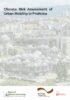 Climate Risk Assessment of Urban Mobility in Prishtina