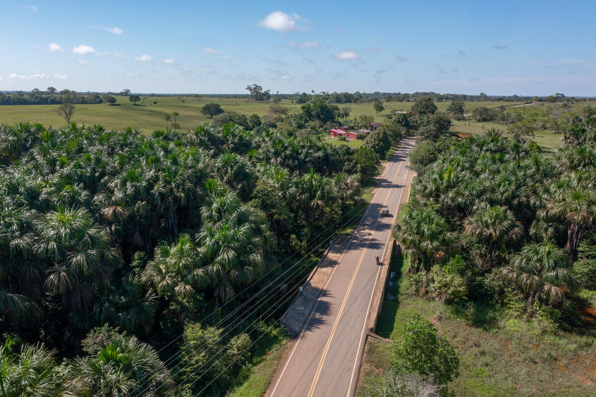 Colombia, WWF has worked with government and local partners to design guidelines for environmentally sustainable roads. The Green Road Infrastructure Guidelines are now mandatory and are being piloted in the rebuilding of this road in the Amazonian department of Guaviare. © WWF-US/Luis Bernardo Cano